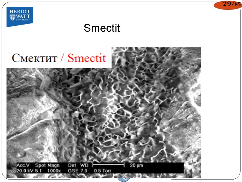 Smectit 29/85